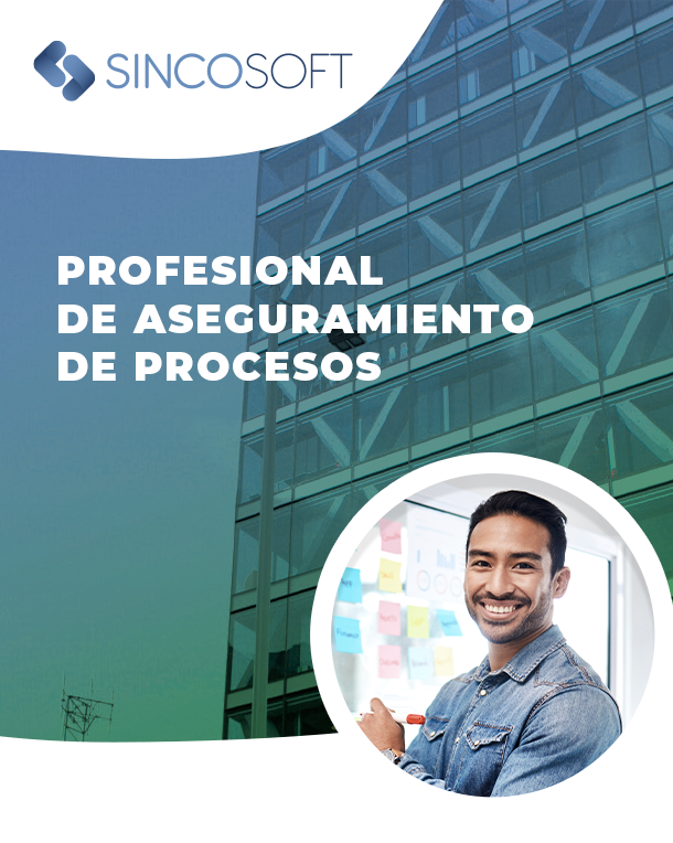 Profesional de aseguramiento de procesos